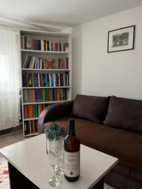 Apartment Gray